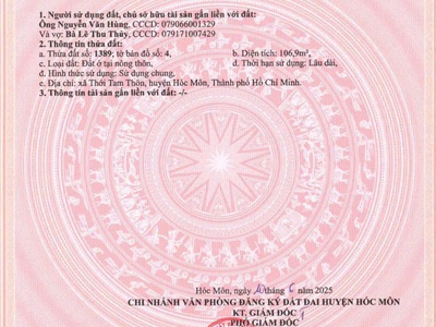 Bán 2 lô đất đẹp góc mặt tiền trung đông 7, thới tam thôn, hóc môn 0