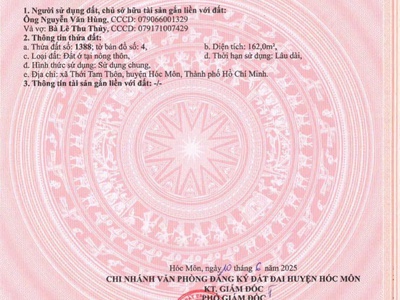 Bán 2 lô đất đẹp góc mặt tiền trung đông 7, thới tam thôn, hóc môn 1