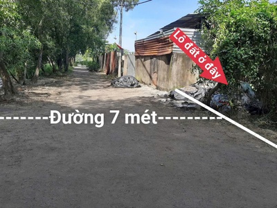 Đất lúa quy hoạch kdc đường 7m bà điểm mới mt rộng   quỹ đất khủng chỉ 12tr/m 2