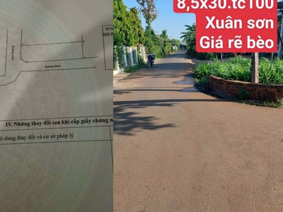 Chủ bán lô góc 2mt đường nhựa khu dân cư xuân sơn hcm 2