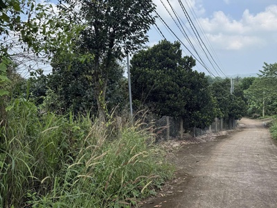 Chỉ 780 triệu sở hữu ngay đất bàu hàm , thống nhất   kênh giữ tiền dài hạn an toàn 3