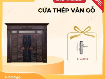Cửa thép vân gỗ: Giải pháp cửa chính hiện đại, an toàn và bền bỉ theo thời gian 0