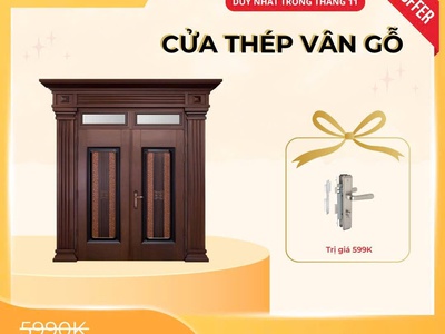 Cửa thép vân gỗ: Giải pháp cửa chính hiện đại, an toàn và bền bỉ theo thời gian 1