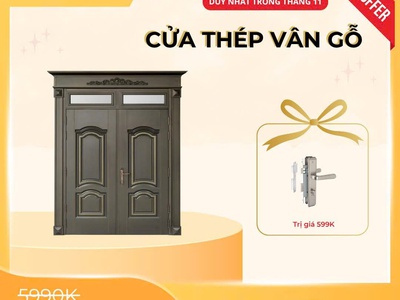 Cửa thép vân gỗ: Giải pháp cửa chính hiện đại, an toàn và bền bỉ theo thời gian 2