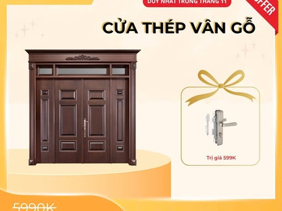 Cửa thép vân gỗ: Giải pháp cửa chính hiện đại, an toàn và bền bỉ theo thời gian 3