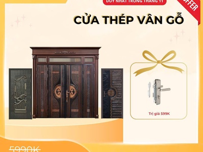 Cửa thép vân gỗ: Giải pháp cửa chính hiện đại, an toàn và bền bỉ theo thời gian 4