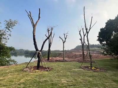 Em cần bán đất nền dự án Utopia thích hợp để mng đầu tư hoặc xây để ở 2