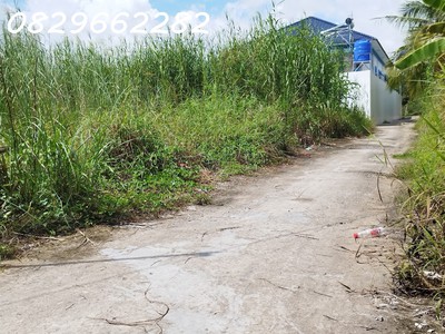 Bán đất thổ cư 171m2 sổ hồng tân xuân, tân nhuận đông, đồng tháp. giá 600 triệu. hướng tây bắc. 2