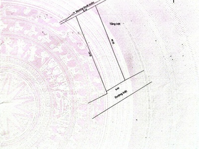 Cần bán dãy trọ 7 phòng kiệt ô tô vào tận nơi nguyễn chánh -dt 136m2 2