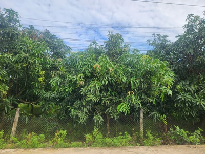 Siêu phẩm đất đẹp - phù hợp cho mọi gia đình - diện tích : 492m2 1