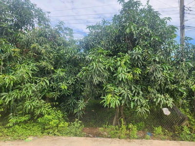 Siêu phẩm đất đẹp - phù hợp cho mọi gia đình - diện tích : 492m2 2