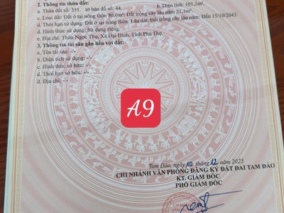 Chính chủ cần tiền bán 2 ô f0 tại ngọc thụ - đại đình, tam đảo - cơ hội x2 năm 2026 sắp đến 3