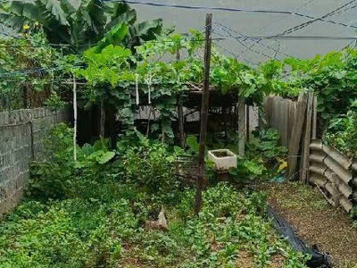 Bán nhanh đất làng nghề hạ thái   sát khu đấu giá   view hồ   ô tô tránh   kinh doanh đỉnh 3