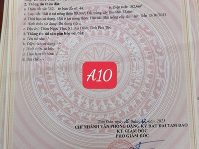 Chính chủ cần tiền bán 2 ô f0 tại ngọc thụ - đại đình, tam đảo - cơ hội x2 năm 2026 sắp đến 4