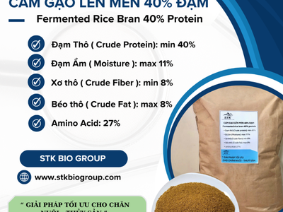 Cám Gạo Lên Men 40 Đạmm Fermented Rice Bran 40 Protein 0