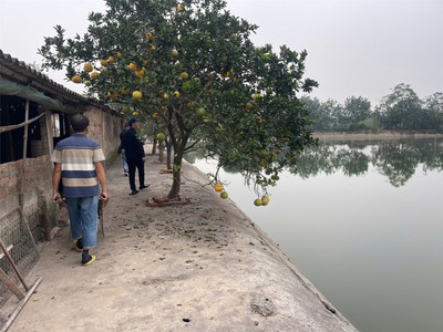 Đất đẹp - giá tốt chính chủ   chính chủ cần bán mảnh đất diện tích 6480m2 xã đông lỗ, ứng hòa 0