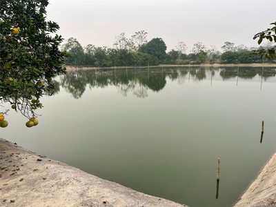 Đất đẹp - giá tốt chính chủ   chính chủ cần bán mảnh đất diện tích 6480m2 xã đông lỗ, ứng hòa 2