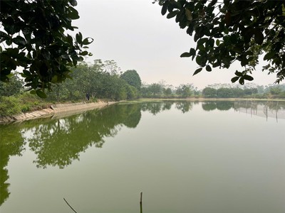 Đất đẹp - giá tốt chính chủ   chính chủ cần bán mảnh đất diện tích 6480m2 xã đông lỗ, ứng hòa 4