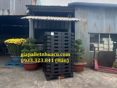  Phân Phối Pallet Nhựa Giá Rẻ Nhất Biên Hòa  6