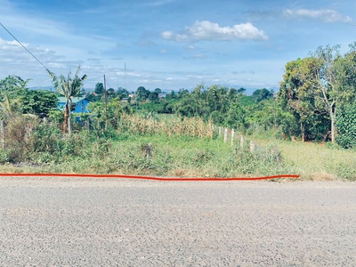 Đất mặt tiền nhựa dh2, n thôn hạ đức trọng cũ, lâm đồng 1