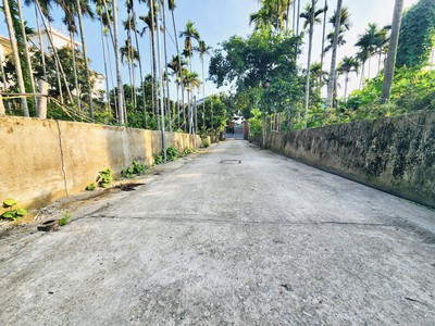 Cần bán lô đất ngõ 25 Cát Vũ, Tràng Cát 42m2 giá chỉ 1 tỷ 245 0