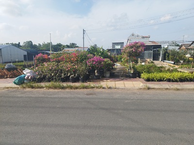 Bán đất thổ cư 196m2 sổ hồng làng hoa, tân quy đông, tp. sa đéc, đồng tháp. giá 3.2 tỷ. hướng tây 2