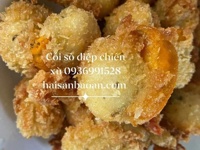 Báo giá cồi sò điệp tươi ngon giá tốt 0