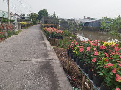 Bán đất mặt tiền đường phạm hồng thái, sa đéc, 308m2, sổ hồng 2