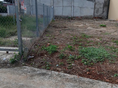 Chủ bán 100mv đường bê tông ô tô xã đất đỏ hcm 5x20 60 tc giá chỉ 900tr 1