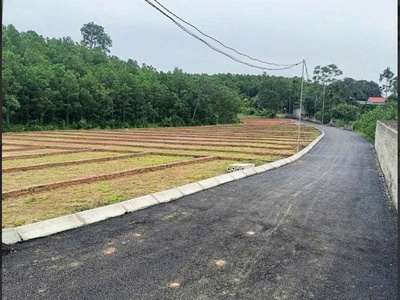 195 triệu có ngay đất thổ cư, sổ đỏ trao tay 1