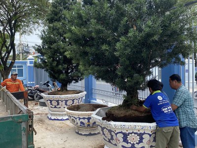 Cơ sở chậu hoa Thế Sơn - chậu hoa dán sành sứ - chậu khảm sành - cẩn miểng 16