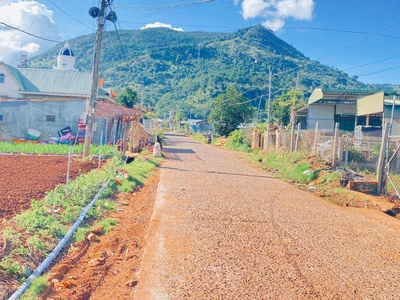 1 sào hẻm ql20, hiệp an cũ, đức trọng, lâm đồng 0