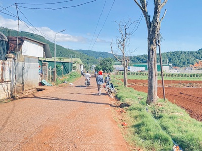 1 sào hẻm ql20, hiệp an cũ, đức trọng, lâm đồng 1