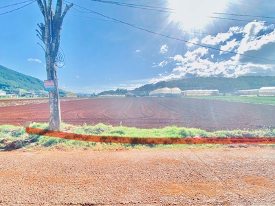 1 sào hẻm ql20, hiệp an cũ, đức trọng, lâm đồng 2