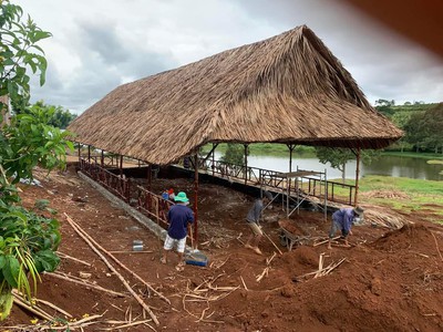 Bán lá dừa nước lợp nhà 1