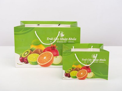 In túi giấy đựng hoa quả nâng tầm giá trị nông sản 0