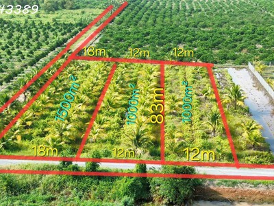 Hàng hiếm - đất vườn siêu đẹp tại thủ thừa giá 789tr / dt 1000mv 0