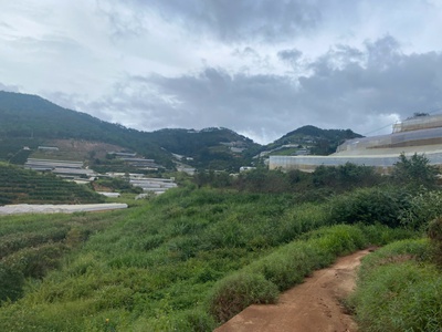 Sở hữu ngay lô đất đẹp - giá tốt - vị trí đắc địa tại đa quý, xã xuân thọ, tp đà lạt, lâm đồng 2