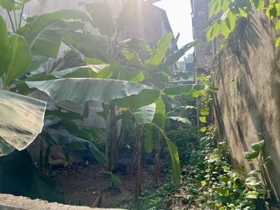 Bán đất ngõ 193 bồ đề 89m x 6m6 1 nhà ra oto thông, giá đầu tư. 1