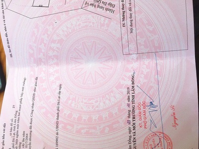 Sở hữu ngay lô đất đẹp - giá tốt - vị trí đắc địa tại đa quý, xã xuân thọ, tp đà lạt, lâm đồng 3