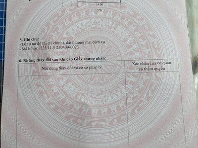 Đất TMDV Viện Nhi - Phía Nam TP Hải Dương 1