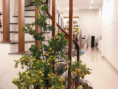 Nhà phố lạc long quân 45m 5t 11,6 tỷ gần đường ô tô- gần hồ tây-vị trí đẹp 0