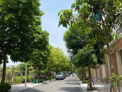 Chính chủ bán đất dịch vụ trạm trôi, 108,4m    mặt tiền 5,36m. 2