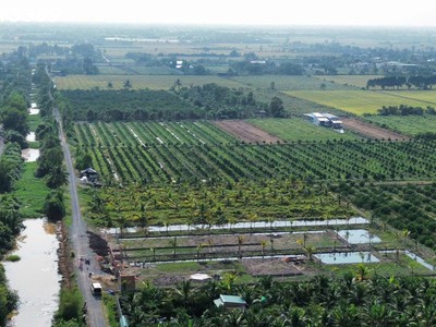 Hàng hiếm - đất vườn siêu đẹp tại thủ thừa giá 789tr / dt 1000mv 1