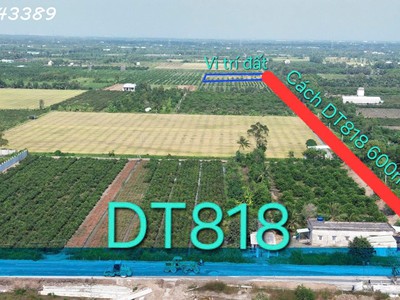 Hàng hiếm - đất vườn siêu đẹp tại thủ thừa giá 789tr / dt 1000mv 2