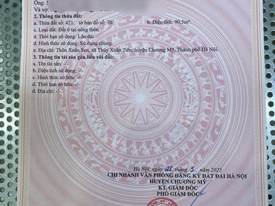 Tôi chính chủ bán gấp mảnh đất tại thôn xuân sen cách đường hcm chỉ 100m 2