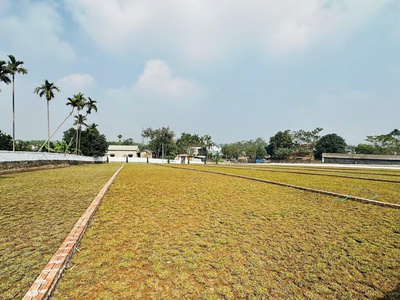 Đất nền giá rẻ   diện tích lớn gần kcn nhuận trạch, lương sơn 0