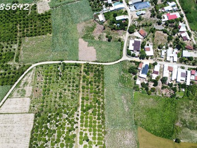 Bán đất nông nghiệp tại nha trang khánh hoà 0