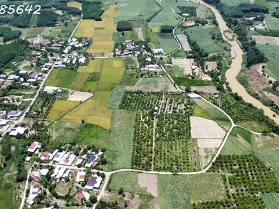 Bán đất vườn chỉ 380 triệu cho 1.000 mét tại khánh hoà 1