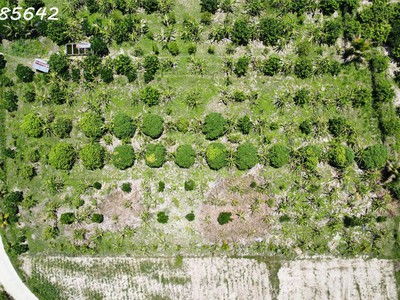 Bán đất nông nghiệp tại nha trang khánh hoà 3